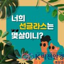 안경나라 풍암점 | 내 선글라스에도 수명이 있다고... 나의 선글라스 수명은? / 선글라스수명 / 광주안경 광주선글라스