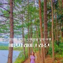 동양레이크여행