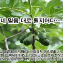 2월 4일(토) 네 믿음대로 될지어다! 이미지