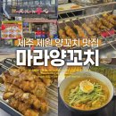 (주)제주드림여행사 | 제주 노형 제원 양꼬치 맛집 마라양꼬치 내돈내산 후기