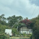 선제리의 아침 | [군산/숙소추천] 군산 촌캉스는 선제리의 아침에서! (내돈내산 2박 후기)