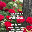 박수명: 3월부터 7월1일 까지 로드맵(참고). 2026.02.21.토 이미지