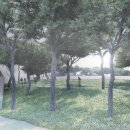 화랑유원지(중심광장) 이미지