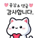 종로 진미통닭 네이버블로그