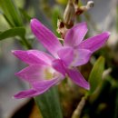 황호농장 이미지