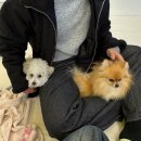 문성로1길(중3-151) | Let's get ready step by step