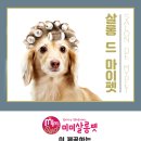 마이 펫 살롱 이미지