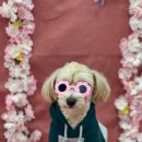 멍케어존 이미지