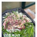 녹수청산 | 대전 둔산동 오리로스 맛집 ‘녹수청산’ 솔직 후기