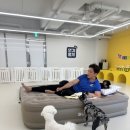 댕겨올개 이미지