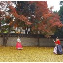 한복이야기 이미지