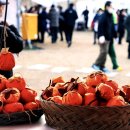 전견훤묘 주차장 | 양촌곶감축제2025 셔틀버스 먹거리 주차장 프로그램 공유