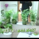 건강지킴이 네이버블로그