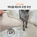 네이버펫 고양이 강아지용품 텍미홈 LED무드등으로 방 꾸미기
