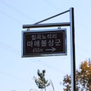 칠곡 노석리 마애불상군 | [경북 칠곡] 노석리 마애불상군 (2024.11.16)