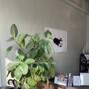 우리동네30분의원 이미지