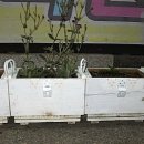 지에스25 삼척해변점 이미지