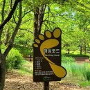 정발산파크골프장 이미지