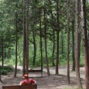 숲속 향기 작은도서관 이미지