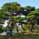 백운쇼핑목욕탕 이미지