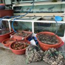 원광수산 이미지