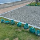 청림동-15 | [포항/구룡포] 경북 포항 오션뷰 최애 캠핑장 ‘창바우마을캠핑장’ 명당 3번 사이트 후기