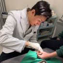 첨단즐거운내과의원 | 첨단지구 주말진료 나들이 후 갑작스러운 꽃가루 알레르기, 당황하지 마세요