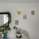 파파야 펜션 이미지