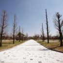 화랑오토캠핑장 이미지