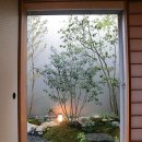 디자인소나무 이미지