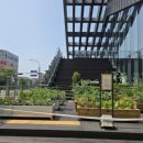 도미노피자 건너 주차장 이미지