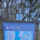 강정보 녹색길 이미지