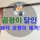 방지 | 바닥 곰팡이 제거 재발 방지 시공 후기