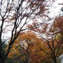 중앙동 3744 이미지