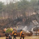 풍일로(일직면) 이미지