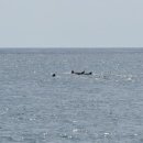 태산수산 이미지