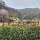 율곡수목원(2) 이미지