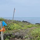 종달리수국길 이미지