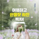 트래블라운지 이미지
