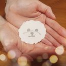 (주)신세계의료기 | 독감 걸리면 어떻게 해야 할까?