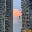 싱싱 잇 네이버블로그