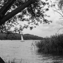 행복행정사 이미지