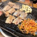 돼지들의이야기 이미지