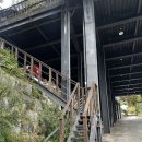 타이거 주짓수 | 경남 창원 마산 안녕오토캠핑장, 19번 사이트 재재재방문 후기