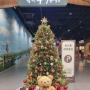 함평엑스포공원 이미지