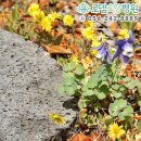 돌담요양병원 이미지