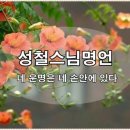 네 운명은 네 손안에 있다 / 성철스님 이미지