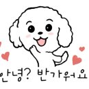 조아루 이미지