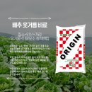 고려종합비료 | 배추 웃거름 비료는 질소, 인산, 가리, 유기물, 미량요소까지 균형있게 공급하는 오리진 효과 탁월!