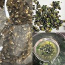 성진푸드 | 다슬기국끓이는법 성진푸드 산지직송 국내산 영월 생다슬기